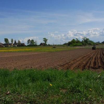 2008 Kuidas Elad Laemmijaerv 386 20170321 2044979410