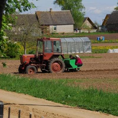 2008 Kuidas Elad Laemmijaerv 391 20170321 1824353545