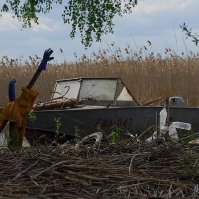 2008 Kuidas Elad Laemmijaerv 407 20170321 1338405962