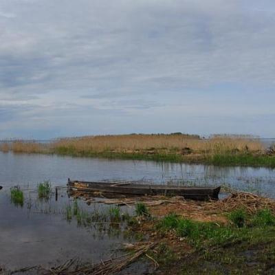 2008 Kuidas Elad Laemmijaerv 408 20170321 1029721391