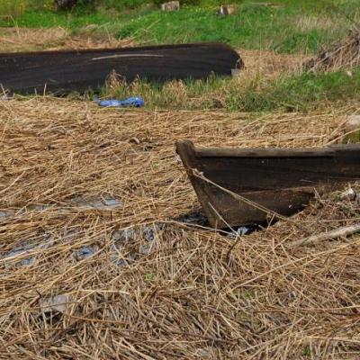 2008 Kuidas Elad Laemmijaerv 409 20170321 1516801671