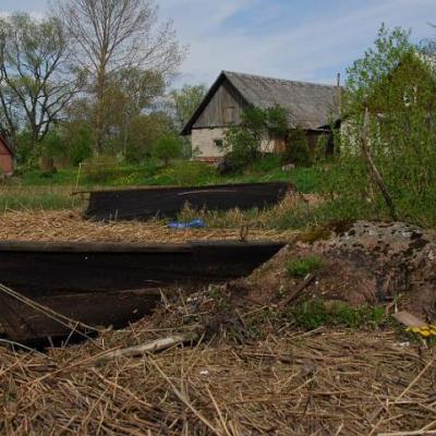 2008 Kuidas Elad Laemmijaerv 411 20170321 1639579065