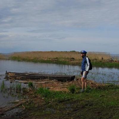 2008 Kuidas Elad Laemmijaerv 413 20170321 1627511249