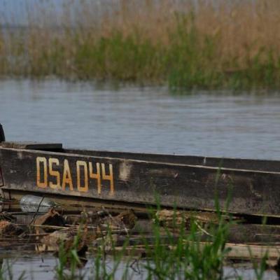 2008 Kuidas Elad Laemmijaerv 415 20170321 1997343824