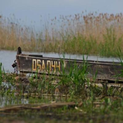 2008 Kuidas Elad Laemmijaerv 416 20170321 1313898308