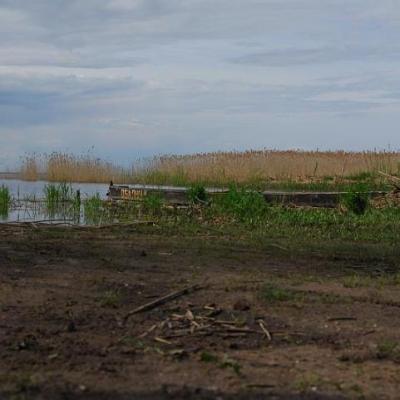 2008 Kuidas Elad Laemmijaerv 418 20170321 2051008262