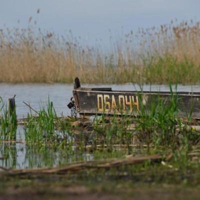 2008 Kuidas Elad Laemmijaerv 420 20170321 1313015613