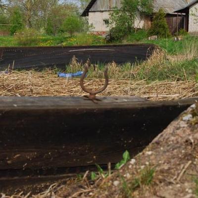 2008 Kuidas Elad Laemmijaerv 422 20170321 1836974620