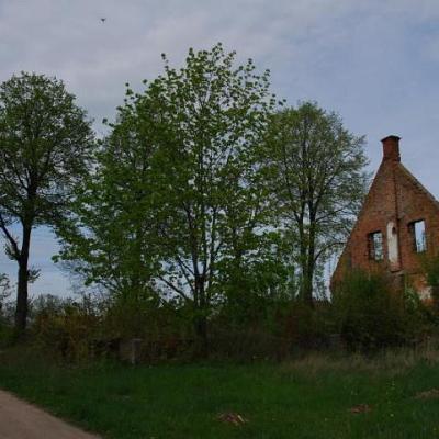 2008 Kuidas Elad Laemmijaerv 429 20170321 1528407549