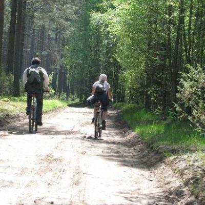 2008 Kuidas Elad Laemmijaerv 46 20170321 1091295014