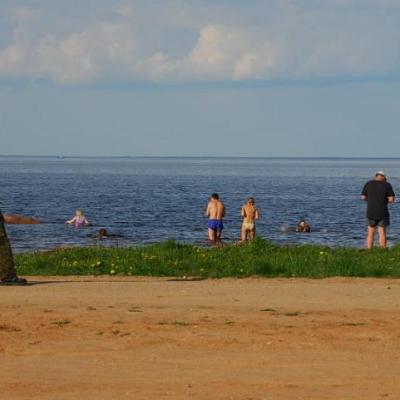 2008 Kuidas Elad Laemmijaerv 467 20170321 2073838886