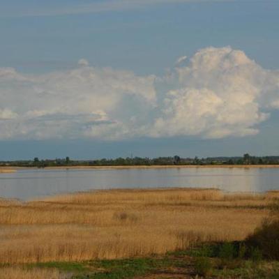 2008 Kuidas Elad Laemmijaerv 488 20170321 2085771769