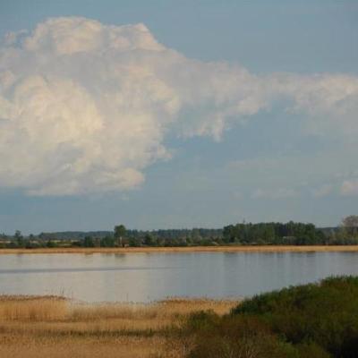 2008 Kuidas Elad Laemmijaerv 489 20170321 1162298024