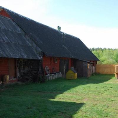 2008 Kuidas Elad Laemmijaerv 536 20170321 1185290839