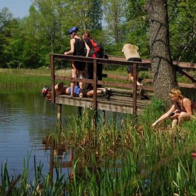 2008 Kuidas Elad Laemmijaerv 542 20170321 1225722748