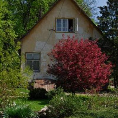 2008 Kuidas Elad Laemmijaerv 543 20170321 1126824449