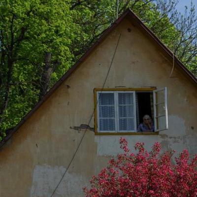 2008 Kuidas Elad Laemmijaerv 544 20170321 1837214999