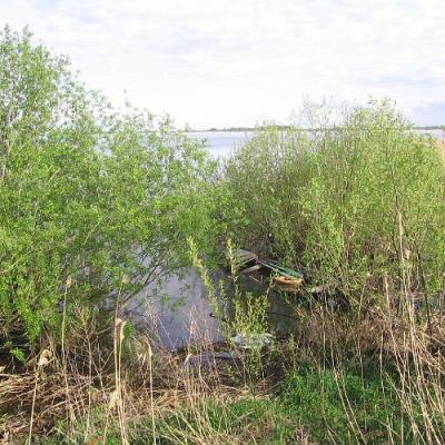 2008 Kuidas Elad Laemmijaerv 582 20170321 1922432257