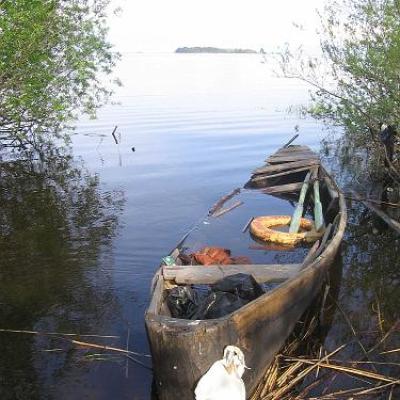 2008 Kuidas Elad Laemmijaerv 584 20170321 1957796181