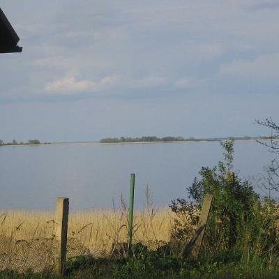 2008 Kuidas Elad Laemmijaerv 589 20170321 1878334914