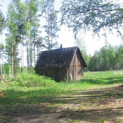 2008 Kuidas Elad Laemmijaerv 599 20170321 1657587494