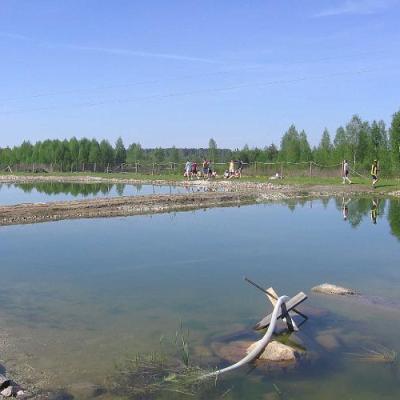 2008 Kuidas Elad Laemmijaerv 603 20170321 2056343094