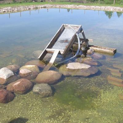 2008 Kuidas Elad Laemmijaerv 607 20170321 2069323173