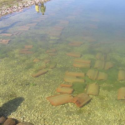 2008 Kuidas Elad Laemmijaerv 608 20170321 1657193493