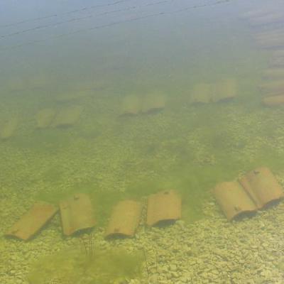 2008 Kuidas Elad Laemmijaerv 612 20170321 1368785373