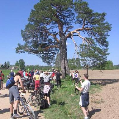 2008 Kuidas Elad Laemmijaerv 616 20170321 1738306165