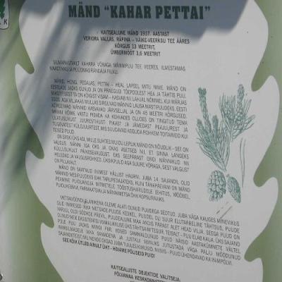 2008 Kuidas Elad Laemmijaerv 617 20170321 1897713782