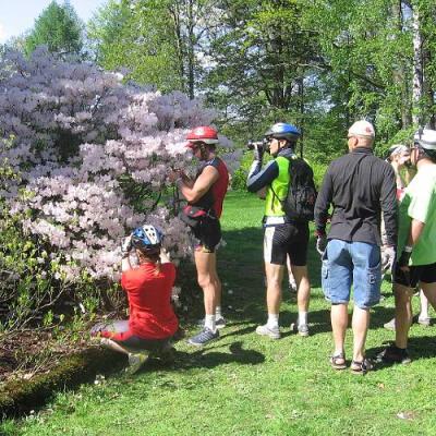 2008 Kuidas Elad Laemmijaerv 618 20170321 1412126228