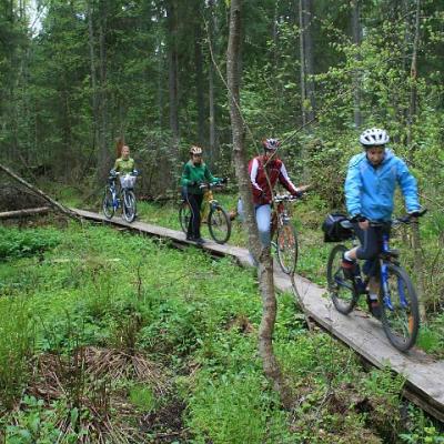 2008 Kuidas Elad Laemmijaerv 644 20170321 1272831408