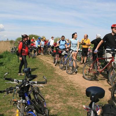 2008 Kuidas Elad Laemmijaerv 657 20170321 1816469518