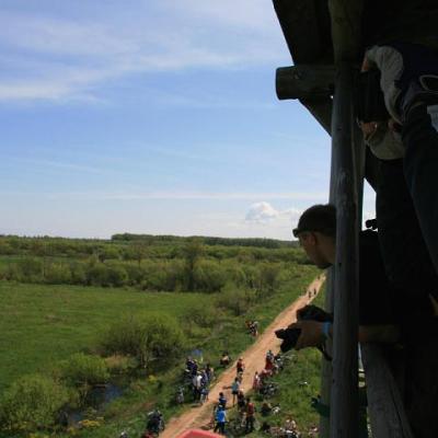 2008 Kuidas Elad Laemmijaerv 663 20170321 1532314000