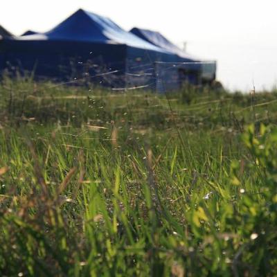 2008 Kuidas Elad Laemmijaerv 677 20170321 1732123715