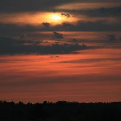 2008 Kuidas Elad Laemmijaerv 691 20170321 1374408373