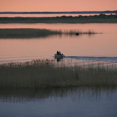 2008 Kuidas Elad Laemmijaerv 702 20170321 1323069376