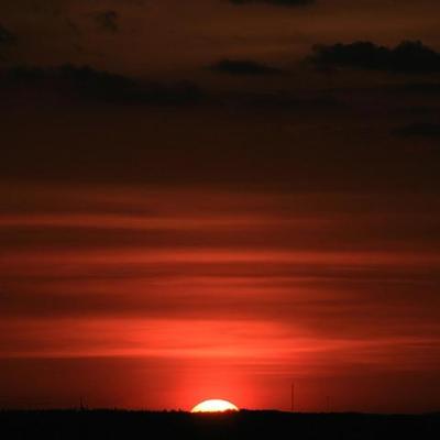 2008 Kuidas Elad Laemmijaerv 711 20170321 1965020779