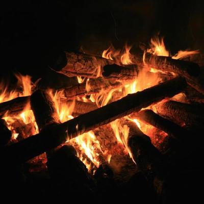 2008 Kuidas Elad Laemmijaerv 720 20170321 1913583191