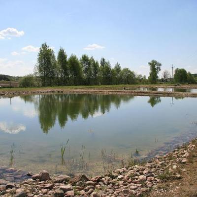 2008 Kuidas Elad Laemmijaerv 733 20170321 1412748567