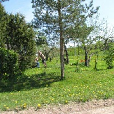 2008 Kuidas Elad Laemmijaerv 74 20170321 1395589175