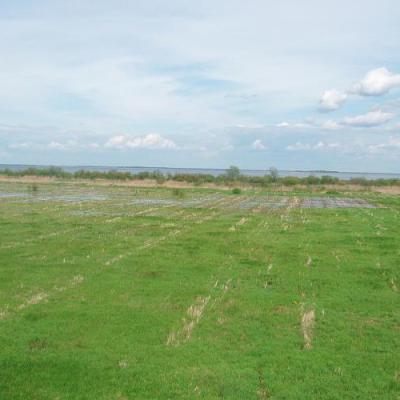 2008 Kuidas Elad Laemmijaerv 758 20170321 1848975192