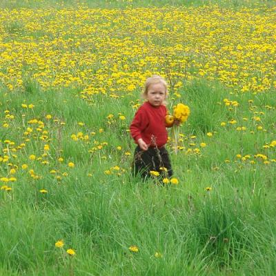 2008 Kuidas Elad Laemmijaerv 768 20170321 1429681523