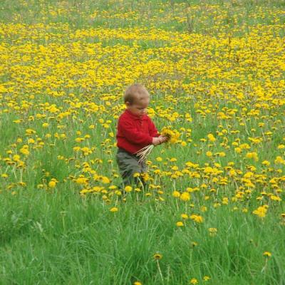 2008 Kuidas Elad Laemmijaerv 769 20170321 2001203376