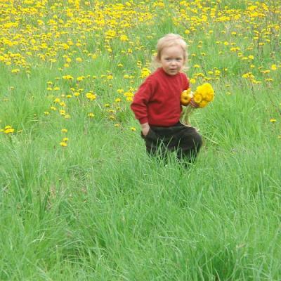 2008 Kuidas Elad Laemmijaerv 770 20170321 1543933618