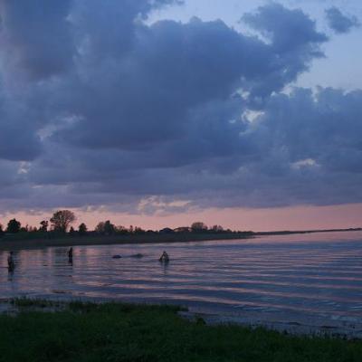 2008 Kuidas Elad Laemmijaerv 795 20170321 2083931963