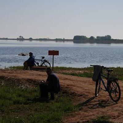 2008 Kuidas Elad Laemmijaerv 805 20170321 1937332958