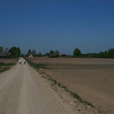 2008 Kuidas Elad Laemmijaerv 810 20170321 1451686005