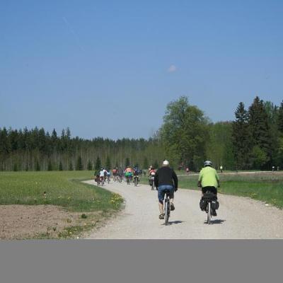 2008 Kuidas Elad Laemmijaerv 812 20170321 2046001039